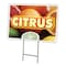Signmission Citrus Yard Sign & Stake outdoor plastic coroplast window, C-1824 Citrus C-1824 Citrus - alternate 1